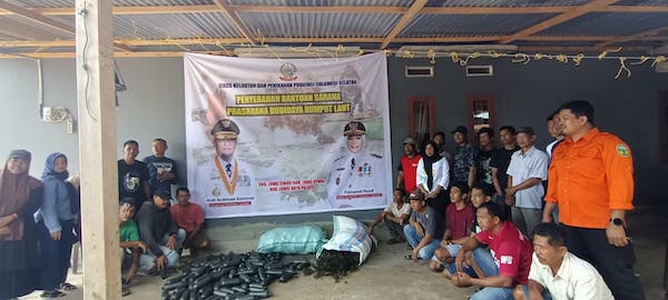 Pemprov Sulsel Siap Distribusi 2.000 Paket Bibit Rumput Laut ke Daerah Pesisir