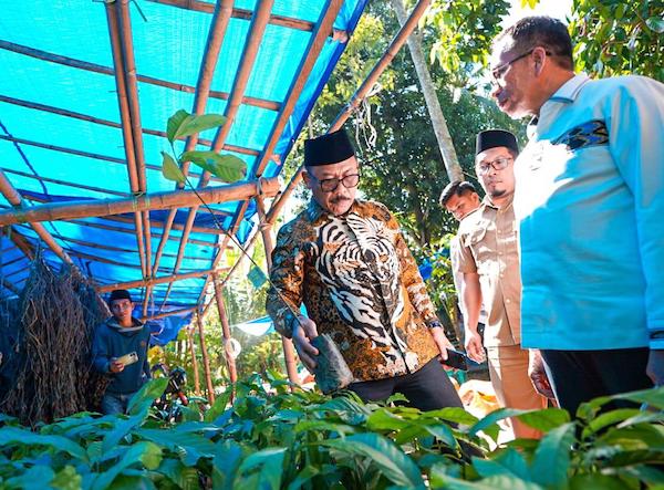 Suhardi Duka Cek Langsung Bantuan Kambing, Bibit Kakao dan Pupuk di Polman