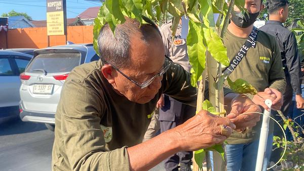 Peduli Dampak Pemanasan Global, GPIB Tanam 1000 Pohon Tabebuya di Makassar