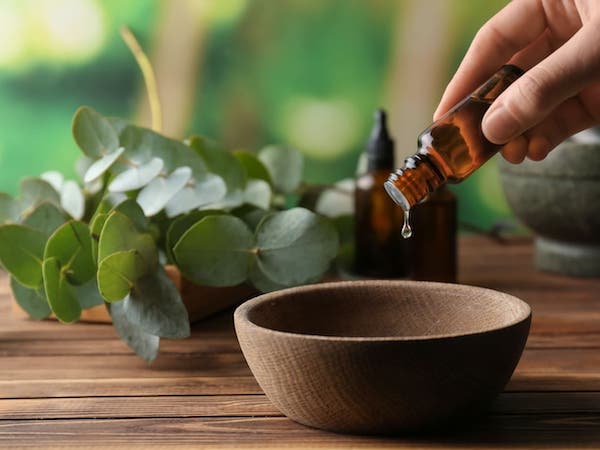 Minyak Eucalyptus: Senjata Alami Lawan Nyeri, Infeksi dan Serangga
