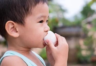 10.000 Anak Bakal Makan Telur, Ramaikan Peringatan HUT ke-356 Sulsel