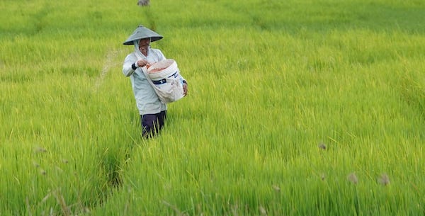 Pemerintah Cabut Izin 2.039 Kios Nakal, Pastikan Distribusi Pupuk Tepat Sasaran