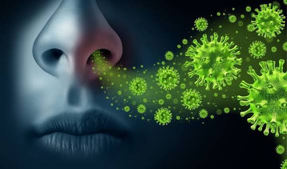 Kasus Influenza A Melonjak, Puan Maharani Desak Pemerintah Perkuat Sistem Kesehatan Nasional