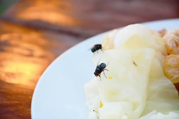 Puskesmas Kaluku Bodoa Imbau Masyarakat Jaga Kebersihan Makanan