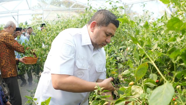 Appi Klaim Urban Farming Bantu Warga Hemat Rp20 Ribu Per Hari
