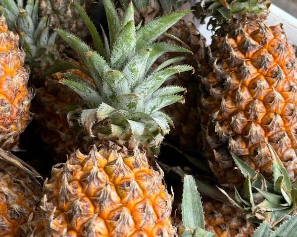 Benarkah Buah Nanas Bisa Menggugurkan Kandungan! Ini Faktanya