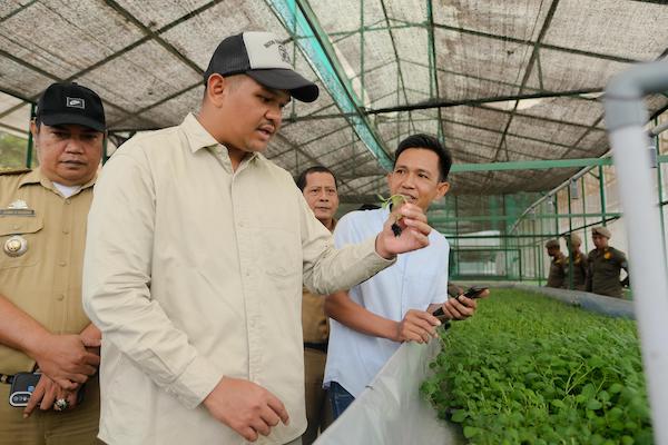 Bantaeng Siap Jadi Daerah Penghasil Benih Kentang