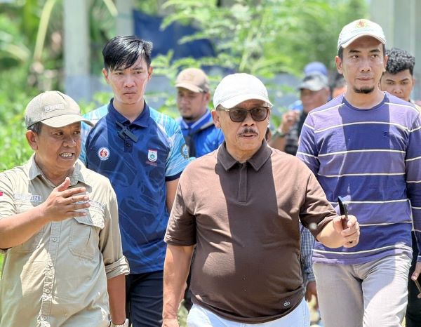 Dinas TPHP Sulbar Catat 1.928 Kelahiran Sapi dari Program IB Meningkat