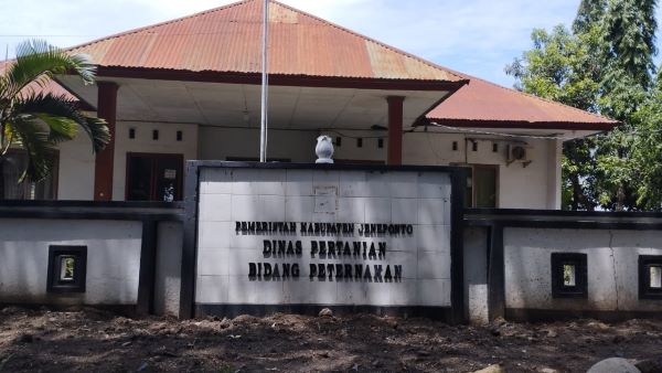 Bidang Pertenakan Jeneponto Pastikan PMK Terkendali di Musim Hujan