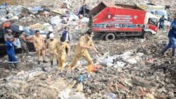 Makassar Siapkan Penangkaran untuk Sapi Berkeliaran dan Makan Sampah TPA