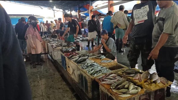 Ray Suryadi Minta Revitalisasi Total Pasar Ikan Pelabuhan Paotere