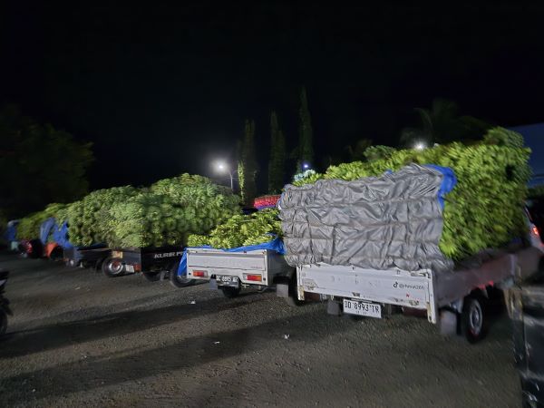 Permintaan Logistik Sulbar ke Kalimantan Timur Melonjak
