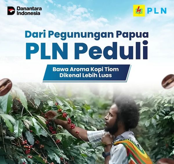 PLN Hadirkan Solusi Dome Pengering, Kopi Tiom Papua Pegunungan Naik Kelas