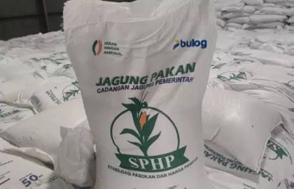 Bulog Sulselbar Mulai Siapkan Penyaluran Jagung SPHP