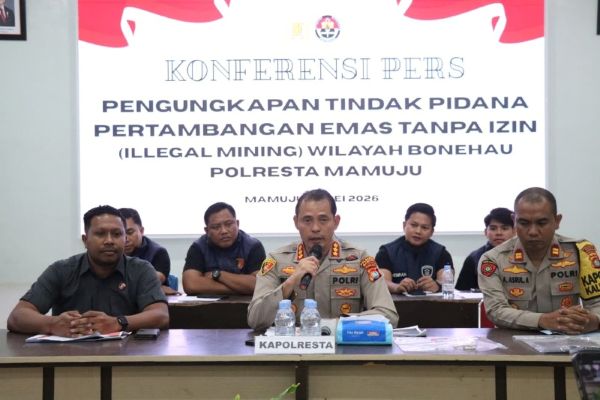 Polresta Mamuju Gerebek Tambang Ilegal di Bonehau, Produksi Emas 20 Gram per Hari