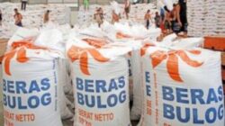 Stok Beras Tembus 5 Juta, DPR Ingatkan Bulog Soal Kualitas