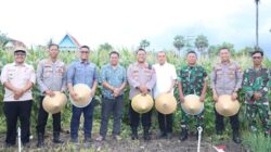 Dihadiri Presiden Prabowo via Zoom, Bupati Jeneponto Ikuti Panen Raya Jagung Serentak di Binamu