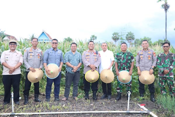 Dihadiri Presiden Prabowo via Zoom, Bupati Jeneponto Ikuti Panen Raya Jagung Serentak di Binamu