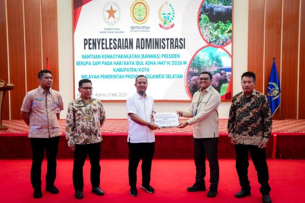 Pemprov Sulsel Salurkan 25 Sapi Kurban Bantuan Presiden ke Daerah Prioritas