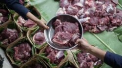 Jangan Asal Simpan, Ini Cara Menjaga Kualitas Daging Kurban di Kulkas