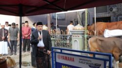 Appi Minta Distribusi Sapi Kurban Bantuan Presiden Prabowo Adil dan Tepat Sasaran
