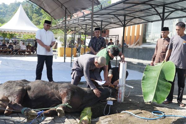 Iduladha 2026: Polda Sulbar Sembelih 17 Sapi dan 33 Kambing untuk Warga