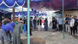 Pelindo Regional 4 Salurkan Puluhan Sapi Kurban bagi Masyarakat di Iduladha 1447 H