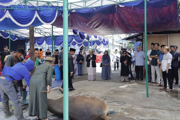 Pelindo Regional 4 Salurkan Puluhan Sapi Kurban bagi Masyarakat di Iduladha 1447 H