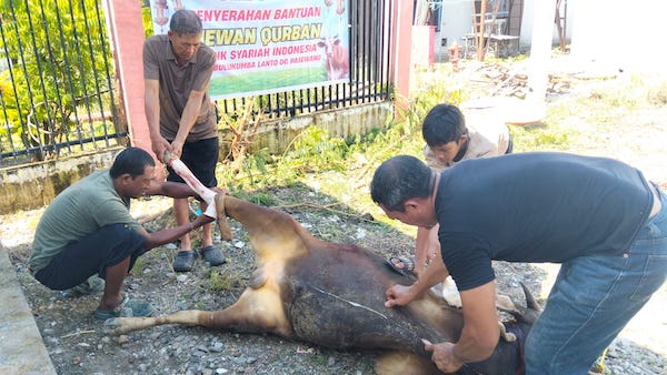 RSUD Bulukumba Sembelih Dua Sapi Kurban, Daging Dibagikan ke Pegawai dan Warga