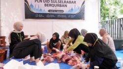 Iduladha 1447 Hijriah, PLN UID Sulselrabar Bagikan 6 Ton Daging Hasil 92 Ekor Hewan Kurban