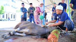 PDAM Makassar Sembelih 7 Sapi Kurban, Andi Syahrum Tekankan Nilai Kemanusiaan