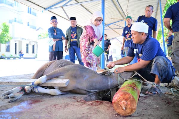 PDAM Makassar Sembelih 7 Sapi Kurban, Andi Syahrum Tekankan Nilai Kemanusiaan