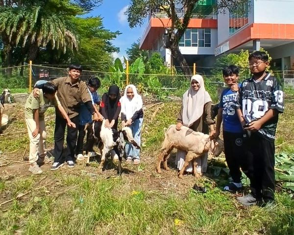 Sekolah Alam Bosowa Kenalkan Makna Qurban Lewat Kunjungan ke Peternakan Kambing