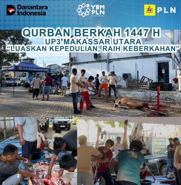 YBM PLN UP3 Makassar Utara Salurkan Hewan Qurban 1447 H, Perkuat Kepedulian Sesama