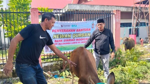 Gandeng BSI, RSUD Bulukumba Sembelih Hewan Kurban di Iduladha 2026