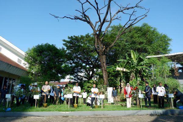 Dari Pakaian, Buku hingga 29.000 Pohon, PNM Perluas Makna Pemberdayaan Bagi Masyarakat