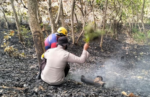 Karhutla Kembali Melanda Desa Sumare Mamuju, Petugas Berjibaku Padamkan Api