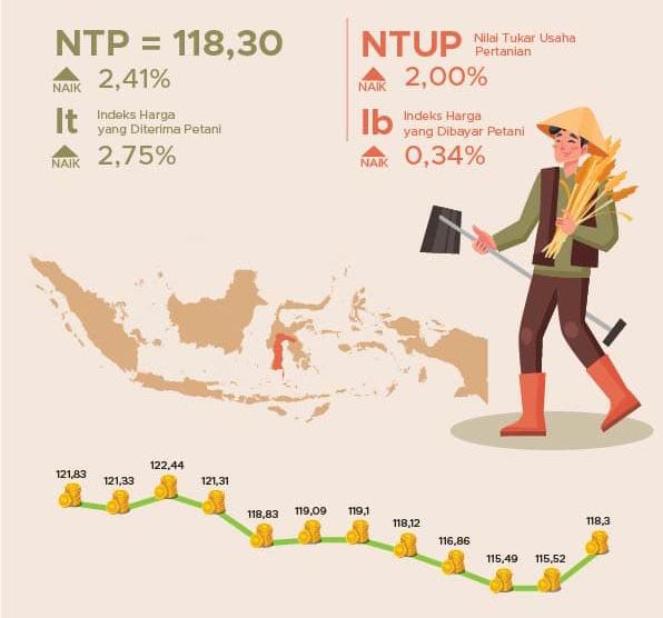 Petani Sulsel Nikmati Kenaikan Pendapatan, NTP Tembus 118,30