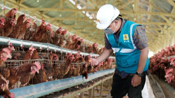 Program Electrifying Agriculture