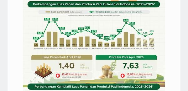 Produksi Beras Nasional April 2026 Turun 840 Ribu Ton, Padi juga Merosot