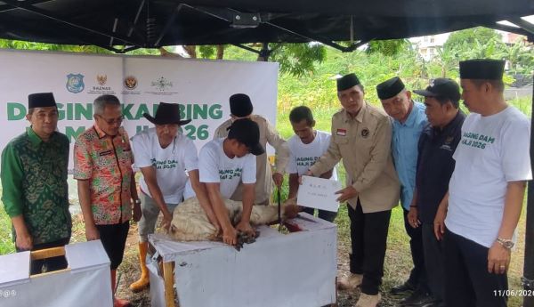 BAZNAS Bulukumba Sembelih 129 Ekor Kambing DAM Jamaah Haji, Disalurkan ke Pesantren dan Panti Asuhan