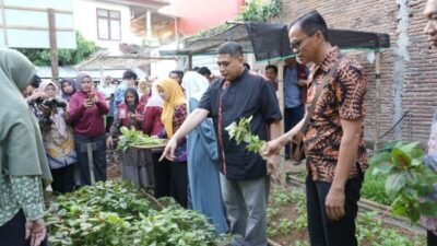 Panen Sayur di Tallo, Appi Ajak Warga Manfaatkan Lahan Sempit