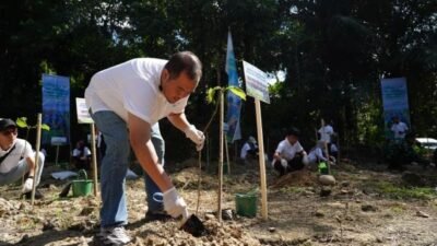 PJM Tanam Ribuan Pohon, Wujud Komitmen Greenbelting dan Pencapaian SDGs