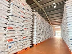Hadapi El Nino 2026, Pemerintah Kantongi Stok Beras 5,2 Juta Ton