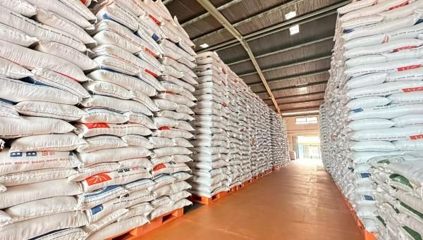 Hadapi El Nino 2026, Pemerintah Kantongi Stok Beras 5,2 Juta Ton