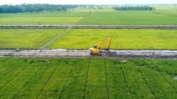 Sidrap Kejar Produksi Padi 1 Juta Ton Lewat Optimasi Lahan dan Cetak Sawah