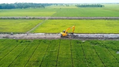 Sidrap Kejar Produksi Padi 1 Juta Ton Lewat Optimasi Lahan dan Cetak Sawah