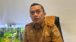 BKPSDM Catat 160 PPPK Pemkot Makassar Berhenti Jelang Evaluasi Kontrak