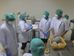 Jadi Lokasi Studi, Bupati Bantaeng Sambut Kunjungan TP PKK Papua di Pabrik Gurita Ekspor