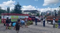 LPG 3 Kg Langka di Toraja Utara, Pemkab Siapkan 1.280 Tabung Lewat Pasar Murah